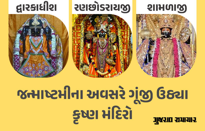 નંદ ઘેર આનંદ ભયો, જય કનૈયાલાલ કી... ગુજરાતમાં શ્રીકૃષ્ણ જન્મોત્સવની ભવ્ય ઉજવણી, મંદિરોમાં ભક્તોનો મહાસાગર
