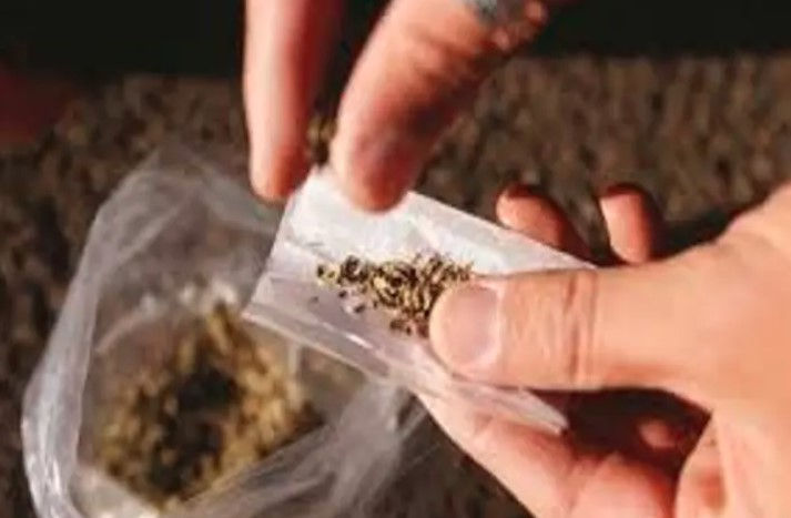 Morbi man caught in Ahmedabad with drugs worth ₹3.60 crore