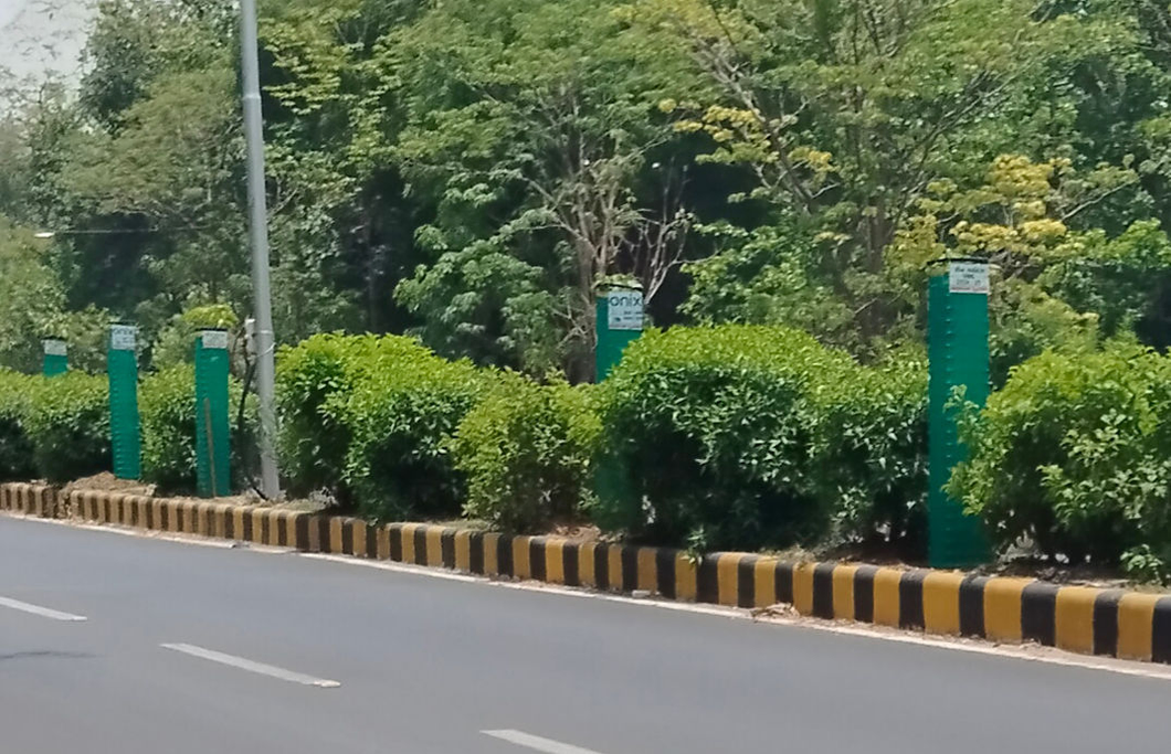 Crores spent, crores of saplings lost: ‘Green Gujarat’ drive under scrutiny after mass tree deaths