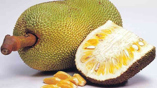 પોષણથી ભરપૂર ફણસમાંથી આ રીતે બનાવો કબાબ, નોંધી લો રેસિપી