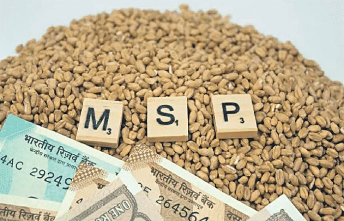 શિયાળુ પાકોના MSPમાં 4-10%નો વધારો