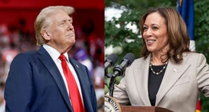 Trump or Harris? Immigration, abortion, healthcare shape Indian-American support