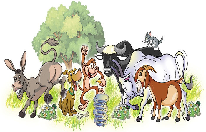 મંછી વાંદરીનું સતોડિયું                                  .