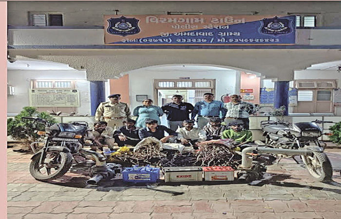 વિરમગામ પંથકમાં ચોરી કરી આતંક મચાવતી ગેંગ ઝડપાઈ