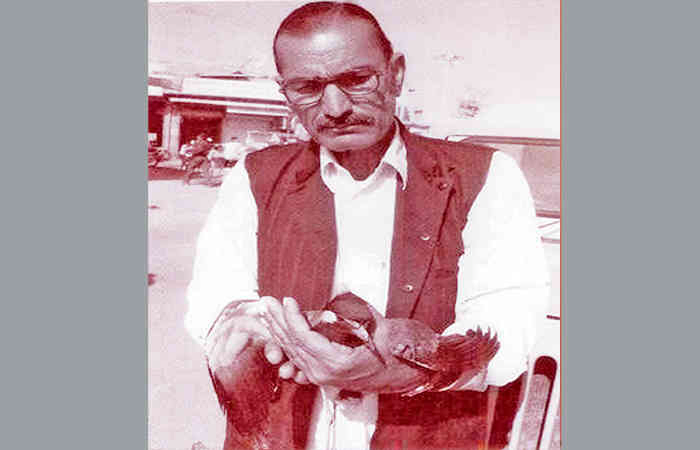 દાદીમાની પ્રેરણાનો પ્રભાવ