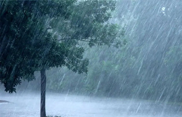 Rescue and relief ops continue in Gujarat amid heavy rains