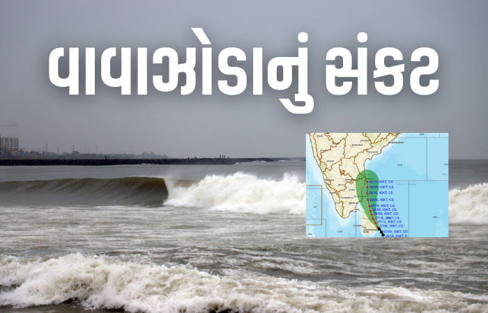 'સેન્યાર' નબળું પડ્યું પણ 'દિતવાહ' વાવાઝોડાનો ખતરો વધ્યો! બે રાજ્યોમાં ભારે વરસાદની આગાહી