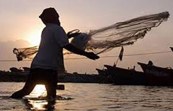 અમેરિકાના આકરા ટેરીફથી સૌરાષ્ટ્રના સમુદ્રકાંઠાનો મત્સ્યોદ્યોગ ભાંગી પડશે