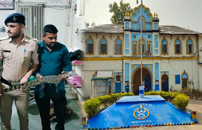 વડોદરા સેન્ટ્રલ જેલમાં કોબ્રા બાદ મગરની એન્ટ્રી, ફોરેસ્ટની ટીમ દ્વારા રેસ્ક્યુ