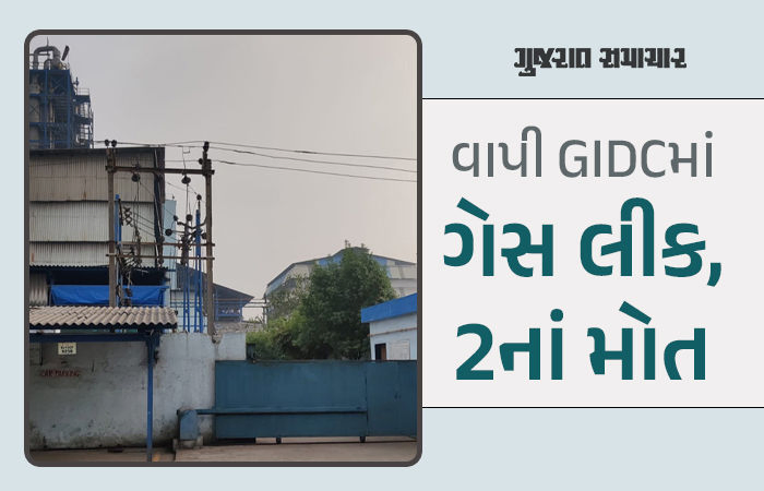 વાપી GIDCમાં ફેક્ટરીમાં ગેસ લીકેજની ઘટના, બે કર્મચારીના ઘટનાસ્થળે જ મોત, 1ની હાલત ગંભીર