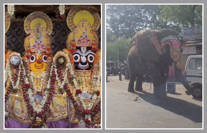 અમદાવાદ: અખાત્રીજે જગન્નાથ મંદિરમાં ચંદનયાત્રા, ફૂલોથી સુશોભિત રથોનું વિધિવત પૂજન અને શાસ્ત્રોક્ત વિધિ સંપન્ન