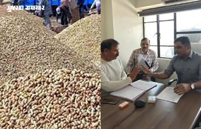'હજારો ખેડૂતોને હજુ એકેય રૂપિયો કૃષિ સહાય નથી મળી...', ટેકાના ભાવે વેચેલી મગફળીના બાકી નાણાં અંગે કોંગ્રેસની ખેતી નિયામકને રજૂઆત
