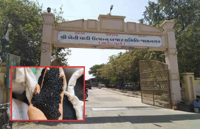 જામનગરના હાપા માર્કેટિંગ યાર્ડમાં આજે નવી કલોંજીની 10 મણની આવક થઈ : મુહૂર્તના સોદામાં 20 કિલોનો 4,151નો ભાવ બોલાયો
