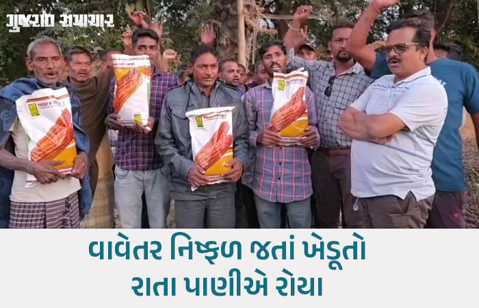 છોટાઉદેપુરમાં 'ન્યુ ગુજરાત પેટર્ન'ની પોલ ખૂલી! સરકારી કીટમાંથી સડેલી મકાઈ નીકળતાં ખેડૂતોનો હોબાળો