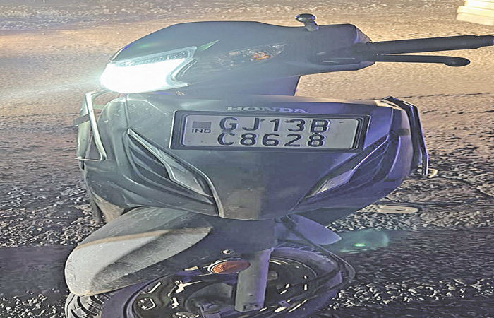 પાણશીણા નજીક એકટીવાને અજાણ્યા વાહને ટક્કર મારતાં 2 વ્યક્તિના મોત