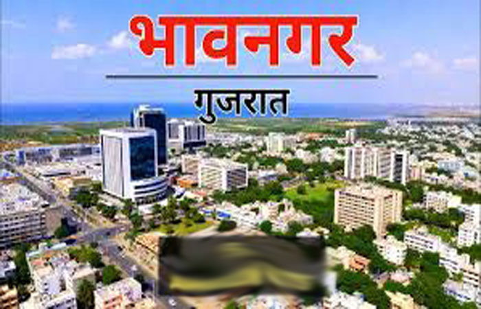 સીટી સર્વે 1-2ના 13 વોર્ડમાં કુલ 13752 મિલ્કતોમાં ફેરફાર નોંધ પડી