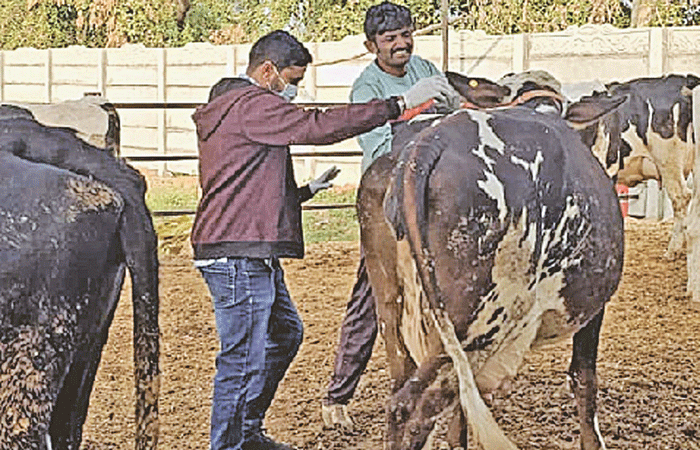 ગાંધીનગરમાં કોંગો ફિવરની એન્ટ્રી, એક કેસ