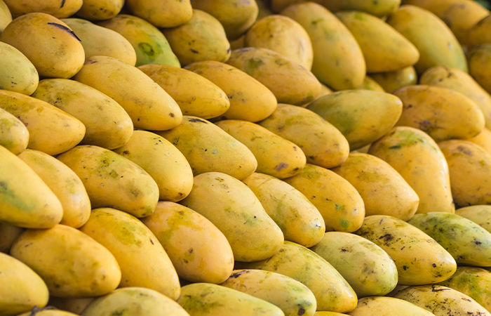 India’s mango export value rises 19% in April-August period of current fiscal