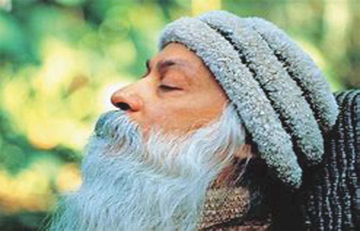 કલ્પવૃક્ષ                                                                  .