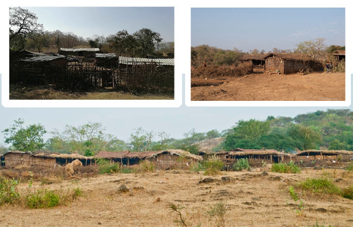 વનમાં ઉનાળો : ગીરના નેસડાઓમાંથી પશુધન સાથે માલધારીઓનું સ્થળાંતર