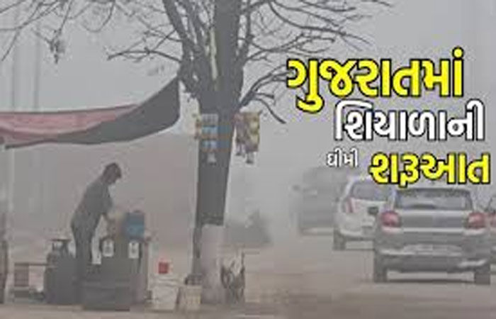 આ વર્ષે કોલ્ડવેવની શક્યતા નહીવત્ : ઠંડી હાલ 2 દિવસ વધશે, પછી ઘટશે