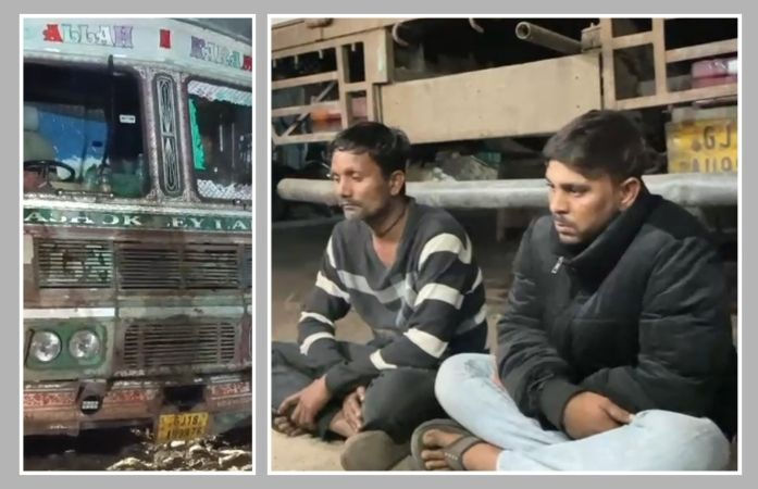 અમરેલીના સાવરકુંડલામાં 11 ભેંસને કતલખાને લઇ જતી ટ્રક પકડાઈ, બેની અટકાયત