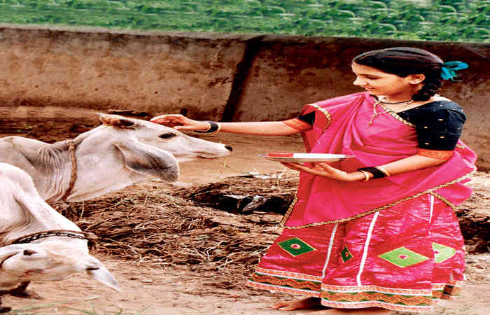ફોટો સ્ટોરી - ઝવેરીલાલ મહેતા