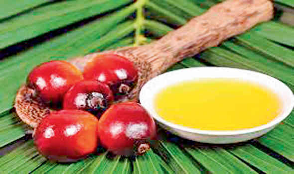 નવા વર્ષથી પામતેલની આયાત મોંઘીદાટ થશે