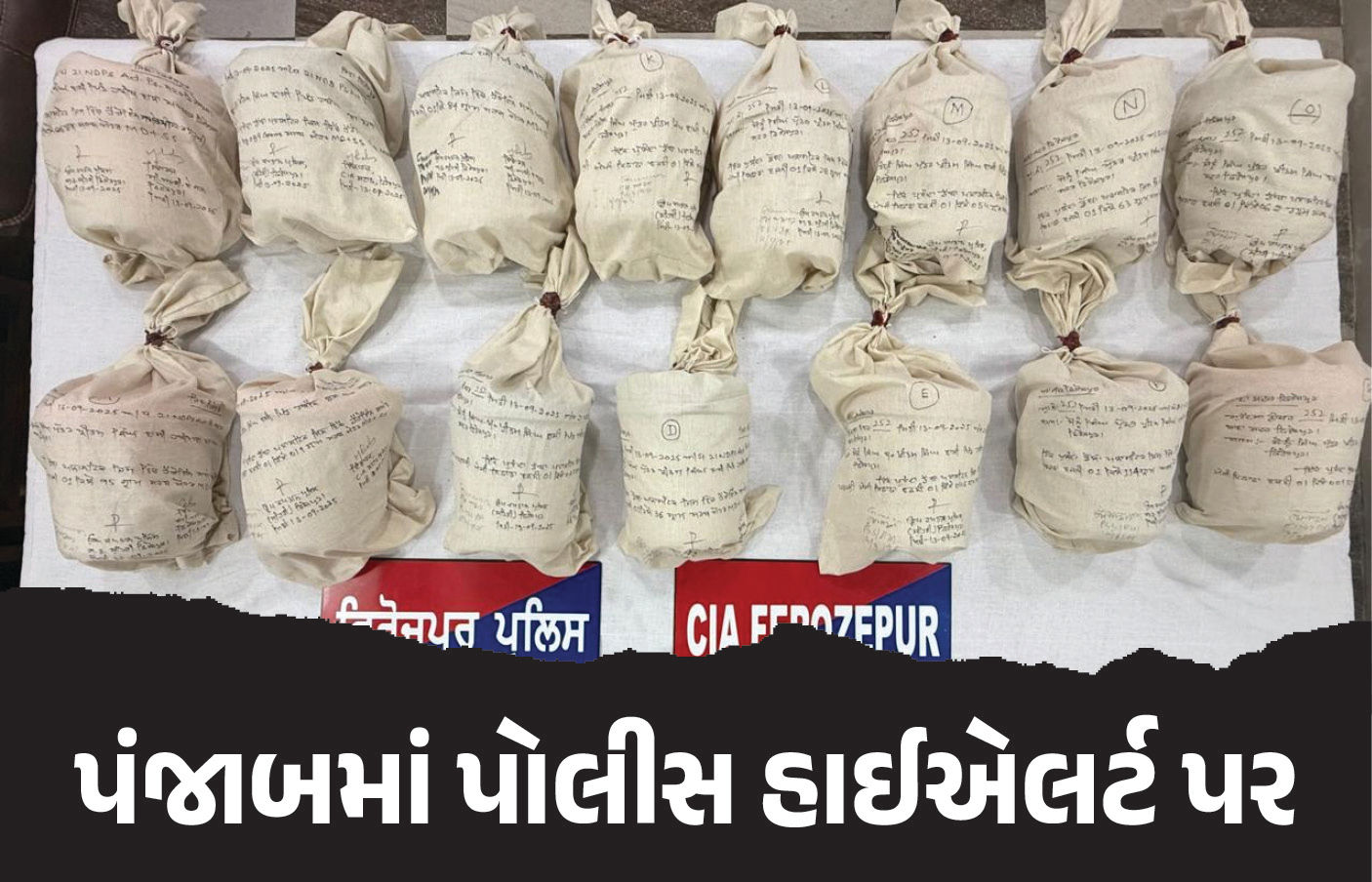 પંજાબમાં પોલીસ હાઈએલર્ટ પર, ISI મોટો હુમલો કરે તેવી આશંકા, પૂરની આડમાં મોકલ્યા હથિયારો