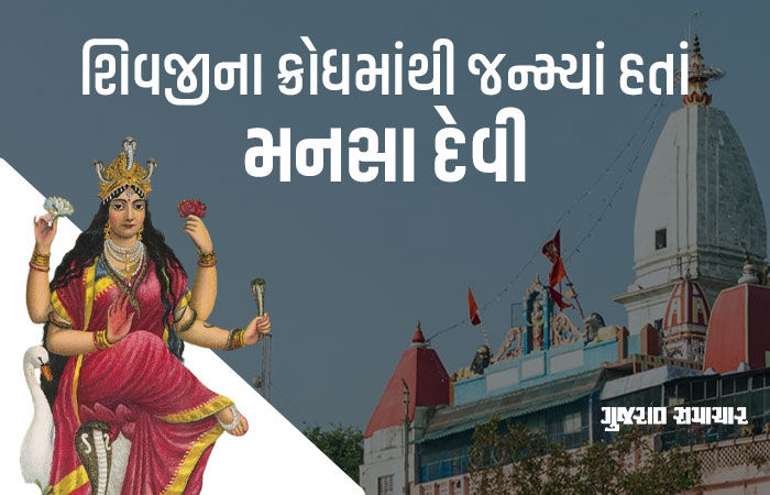 પૌરાણિક સાહિત્યથી લઈને શહેરો સુધી મનસા દેવીનું અસ્તિત્વ છે, જાણો સર્પ અને ઔષધિના દેવી શિવજીના પુત્રી કેમ કહેવાય છે