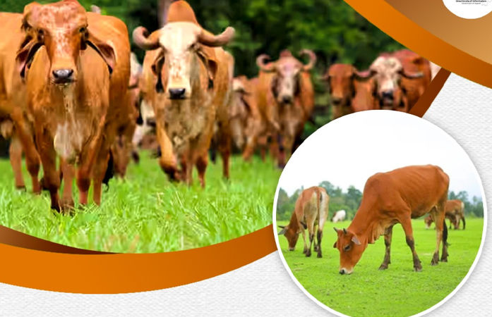 વડનગરમાં રૂ. 15 કરોડના ખર્ચે બનશે દેશનો પ્રથમ વૃંદાવન ગૌચર પાર્ક, માત્ર ગૌશાળા નહીં, પર્યટન સ્થળ તરીકે વિકાસ થશે