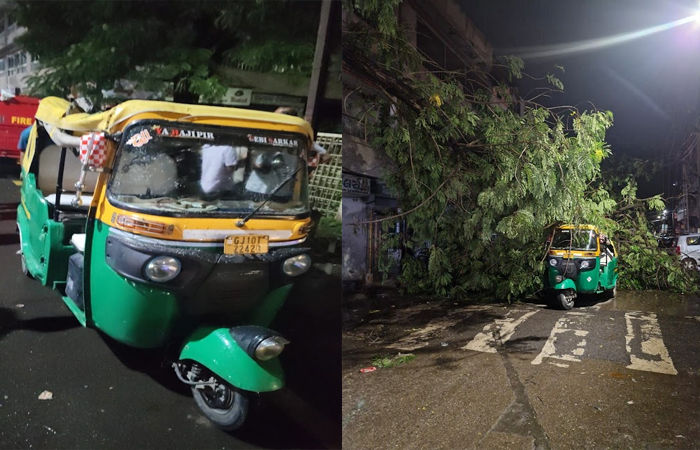 જામનગરના પટેલ કોલોની વિસ્તારમાં એક વૃક્ષ ધરાશાય થઈ જતાં રીક્ષા દબાઈ : સદભાગ્યે જાનહાની ટળી