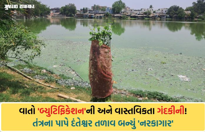 સ્માર્ટ સિટી વડોદરાનો વરવો ચહેરો: દંતેશ્વર તળાવની ગંદકીથી સ્થાનિકો ત્રાહિમામ, VMCની કામગીરી માત્ર 'દેખાડો'?