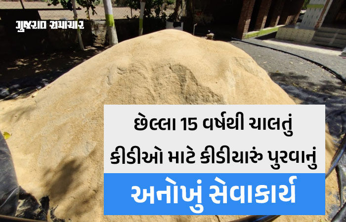 કીડીને કણ નહીં પણ મણ! ભાવનગરના ત્રંબક ગામે 310 મણનું કીડીયારું તૈયાર કરાયું, 15 વર્ષથી ચાલે છે અનોખું સેવાકાર્ય