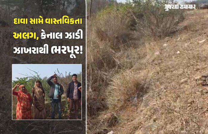 નસવાડી: 'કાગળ પર પાણી, ખેતરમાં ધૂળ'! કેનાલ હોવા છતાં 4 ગામના ખેડૂતો પાણી માટે વલખાં મારવા મજબૂર, તંત્ર સામે સૂત્રોચ્ચાર