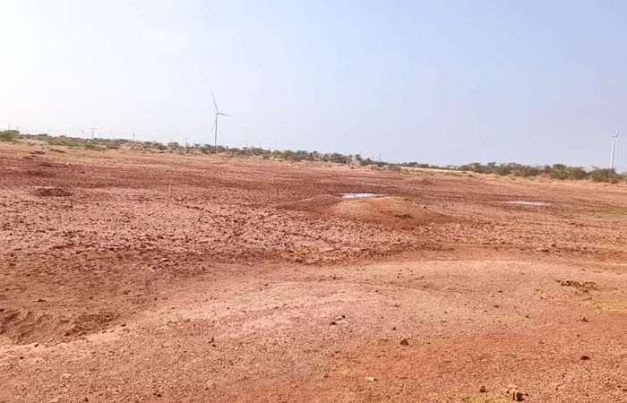 મુળી અને ચોટીલા પંથકમાં તળાવો તળિયાઝાટક : પશુપાલકોની હિજરત શરૂ