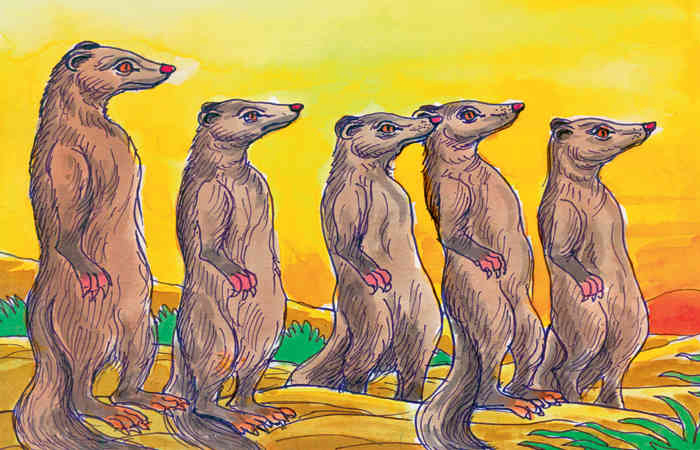 નોળિયાઓનું નગર                   .