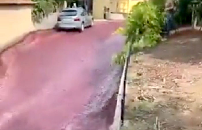 VIDEO: પોર્ટુગલના રસ્તા પર રેડ વાઈનની નદી! સોશ્યલ મીડિયા પર વાયરલ થઇ રહ્યો છે વીડિયો