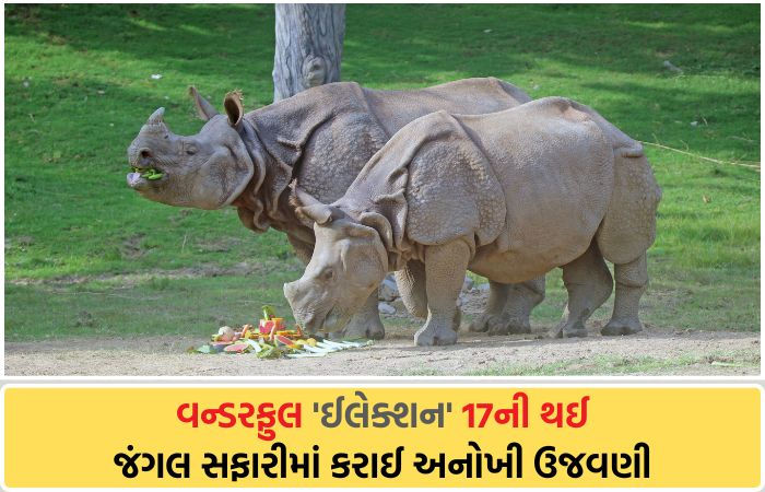 ચૂંટણી માહોલ વચ્ચે 'ઈલેક્શન'નો બર્થ ડે ઉજવાયો, એકતા નગરના જંગલ સફારીમાં ફ્રૂટ કેક પીરસાઈ