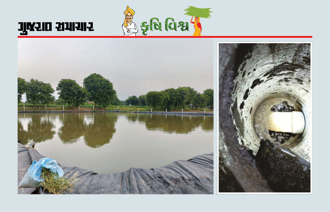 ખેતતલાવડીઓ દ્વારા જળસંચય અને બોર રિચાર્જ અભિયાન : પાણીની ગુણવત્તા સુઘરી, ઉત્પાદન વધ્યું