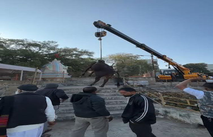 થાનના વાસુકી મંદિર નજીક તળાવમાં બે ગાય ખાબકી