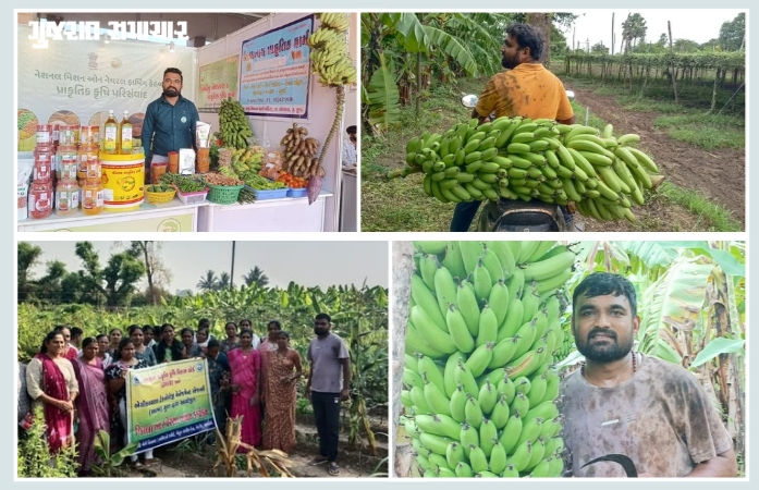 સુરત: પિતાનું કેન્સરમાં મૃત્યુ થતા દીકરાએ રાસાયણિક ખાતરને ત્યજી પ્રાકૃતિક ખેતી અપનાવી: આજે દેશમાં ‘રોલ મોડેલ’