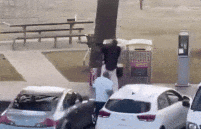 VIDEO: શૂટરને પાછળથી પકડીને બંદૂક છીનવી... ઓસ્ટ્રેલિયાના બહાદુર નાગરિકની વિશ્વભરમાં ચર્ચા