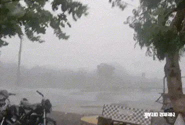 Light to heavy rainfall across state: Gujarat’s orange alert to continue till June 1