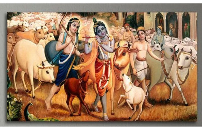 ગોપાષ્ટમીઃ આજે કૃષ્ણ ભગવાને ગાયો ચરાવવાનું શરૂ કર્યું હતું