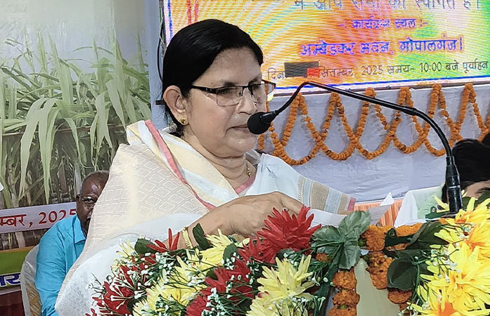 'મારો શું વાંક હતો...' બિહાર ચૂંટણીમાં ભાજપે પત્તુ કાપી નાખતાં રડી પડી મહિલા ધારાસભ્ય