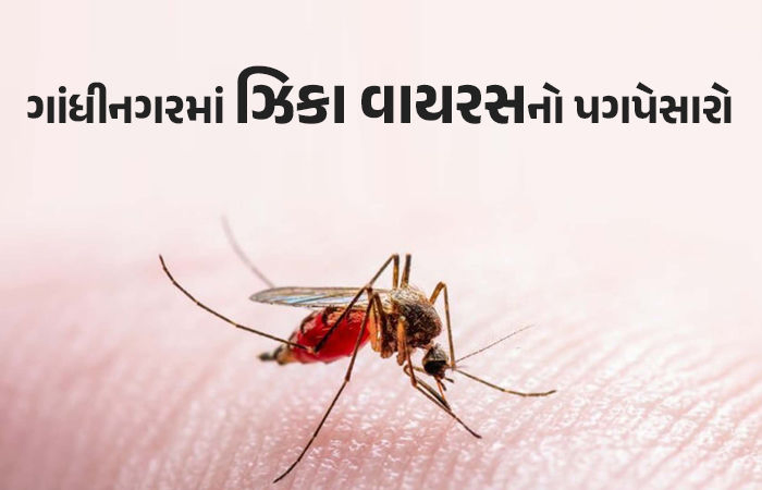 ગાંધીનગરમાં ઝિકા વાયરસનો કેસ પોઝિટિવ આવતા હડકંપ, આરોગ્ય વિભાગ થયું દોડતું