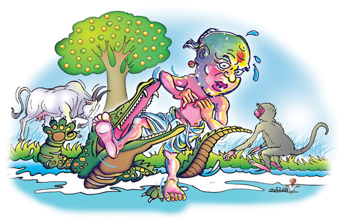 શેરસિંહનો ન્યાય                                                       .