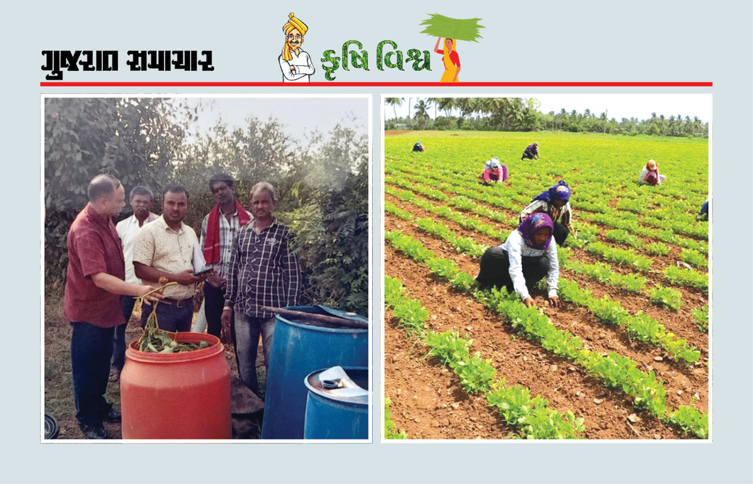 દેશમાં જમીનની ઘટતી જતી ફળદ્રુપતા, પ્રાકૃતિક ખેતી જ એકમાત્ર ઉપાય