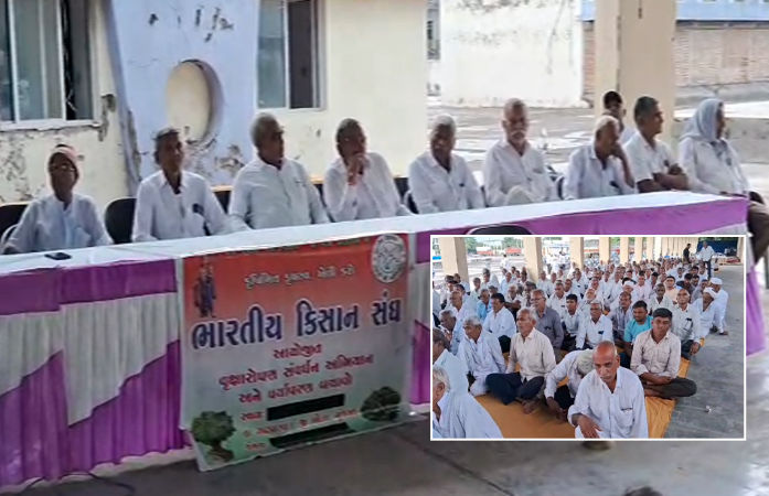 કપાસની આયાત ડ્યુટી રદ કરવાના નિર્ણય સામે બોટાદમાં ખેડૂતોનો વિરોધ, ઉગ્ર આંદોલનની ચીમકી